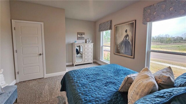 bedroom with carpet floors and baseboards
