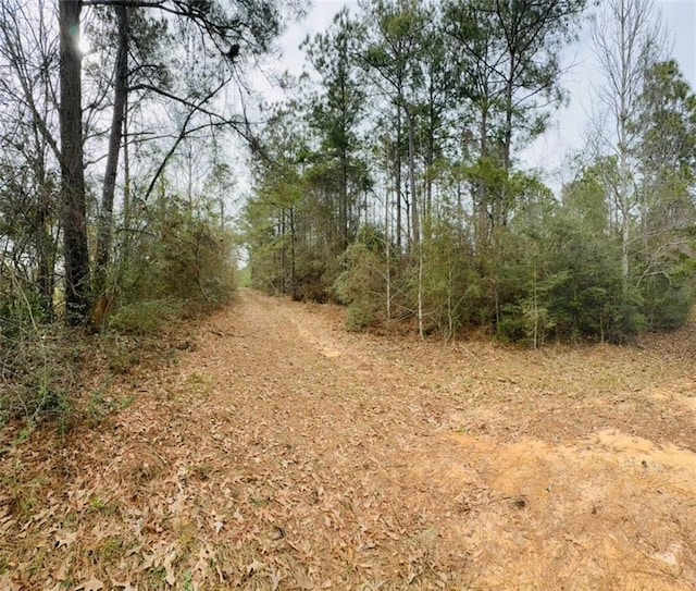 0 Road St, Citronelle AL, 36521 land for sale