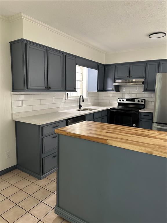 315 Thunderbird Dr, Satsuma, AL 36572 - kitchen featuring butcher block countertops, range with electric stovetop, a sink, under cabinet range hood, and crown molding