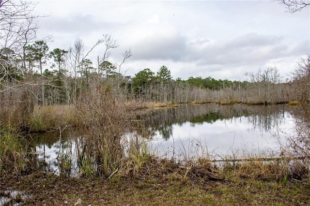 0 Dauphin Island Pkwy, Coden, AL 36523