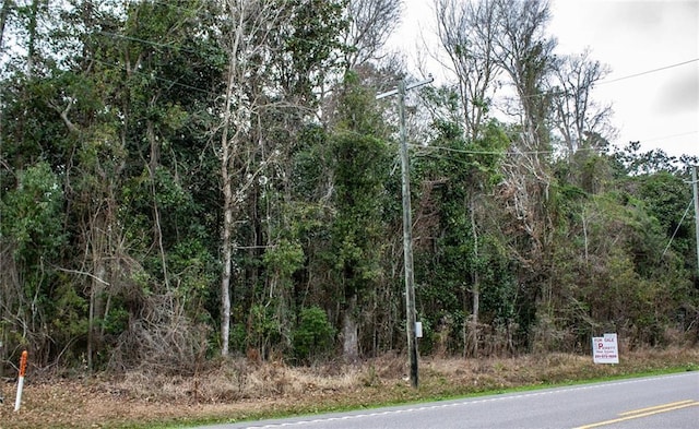 0 Dauphin Island Pkwy, Coden, AL 36523