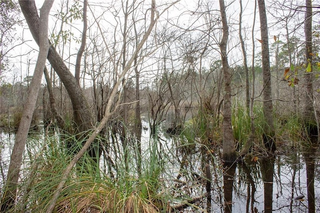0 Dauphin Island Pkwy, Coden, AL 36523