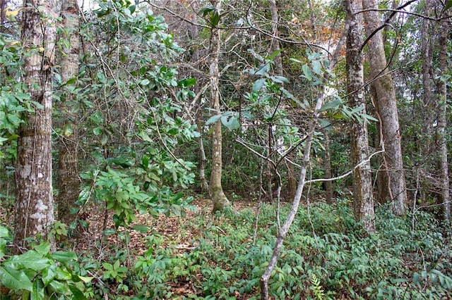 0 Dauphin Island Pkwy, Coden, AL 36523