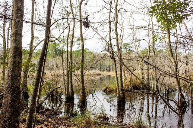 0 Dauphin Island Pkwy, Coden, AL 36523