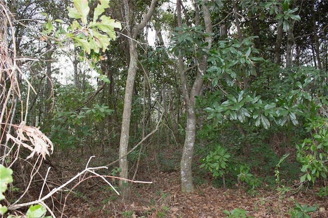 0 Dauphin Island Pkwy, Coden, AL 36523