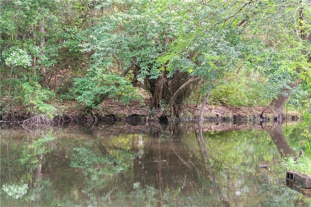 5039 Cole Dr W, Mobile, AL 36619 - view of landscape