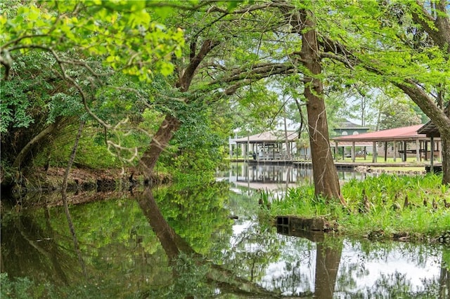 5039 Cole Dr W, Mobile, AL 36619 - surrounding community featuring a water view