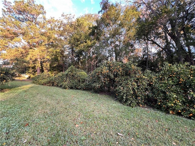 5039 Cole Dr W, Mobile, AL 36619 - view of yard