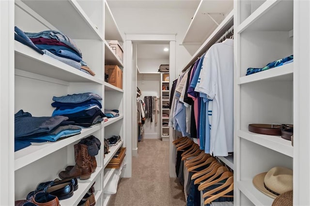 walk in closet with light colored carpet