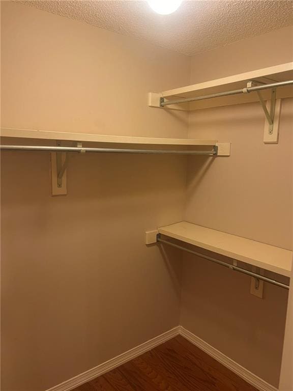 walk in closet with dark wood finished floors