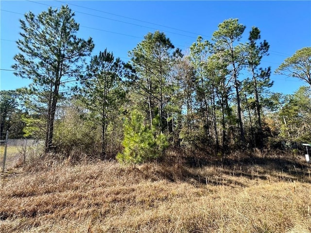 0 Dauphin Island Pkwy, Coden AL, 36523 land for sale