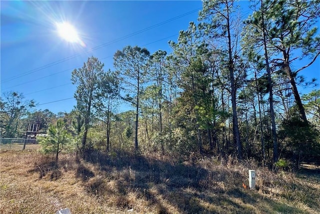 Listing photo 3 for 0 Dauphin Island Pkwy, Coden AL 36523