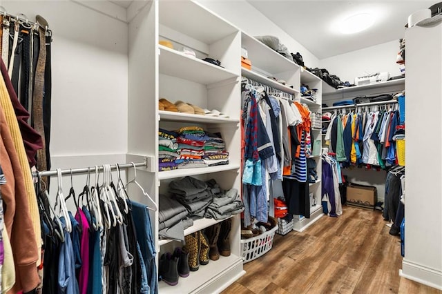 704 Providence Estates Dr E, Mobile, AL 36695 - walk in closet featuring wood finished floors