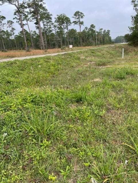 15399 Dauphin Island Pkwy, Coden AL, 36523 land for sale