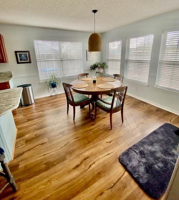 dining room with hardwood / wood-style floors, a wealth of natural light, and a textured ceiling