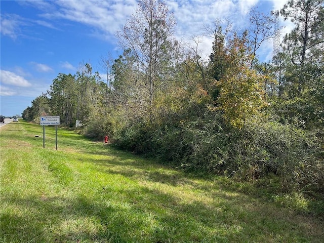 Listing photo 3 for 0 Woerner Rd, Foley AL 36535