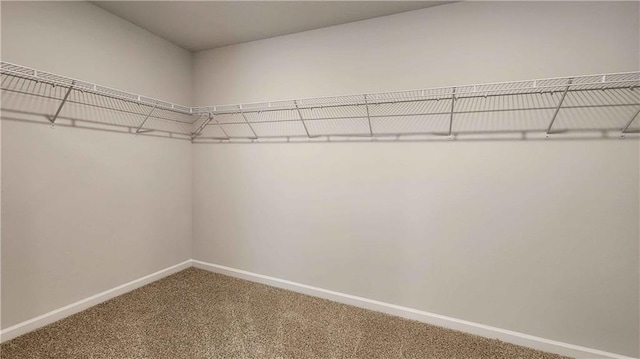 spacious closet with carpet flooring