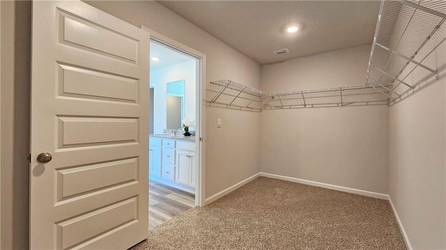 walk in closet featuring light colored carpet