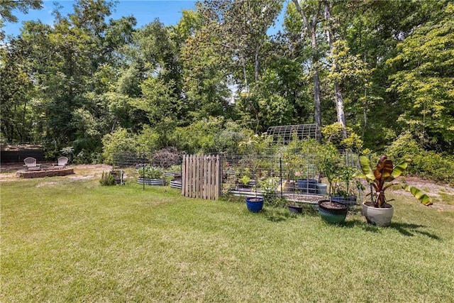 view of yard with a vegetable garden