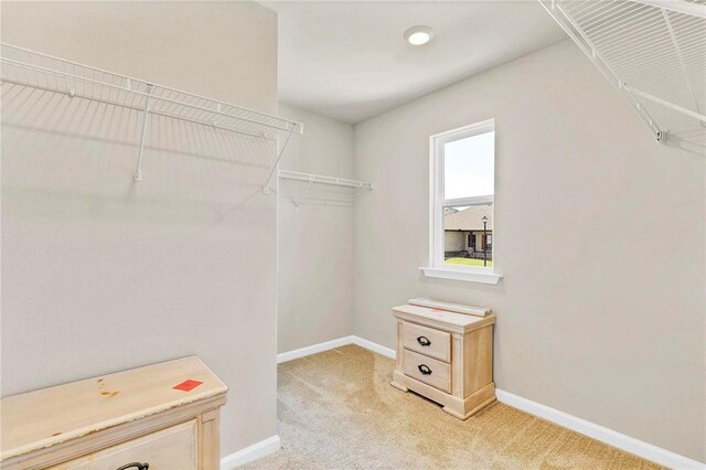 spacious closet with light carpet