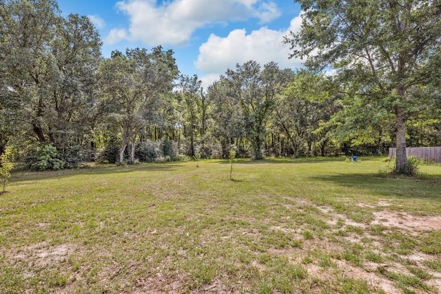 21621 Coleman Cemetery Rd, Moss Point, MS 39562 - view of yard