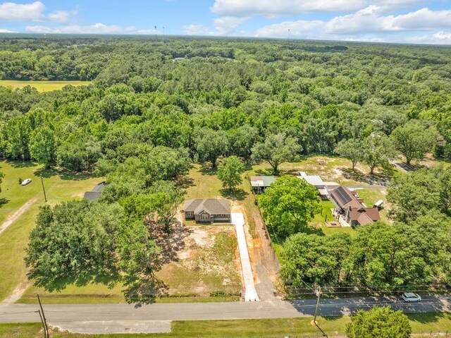 21621 Coleman Cemetery Rd, Moss Point, MS 39562 - aerial view of a forest