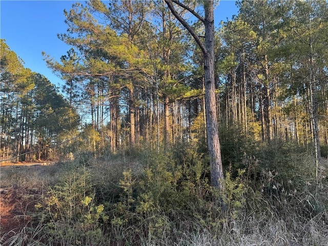 Listing photo 2 for 0 Wilmer Georgetown Rd, Mobile AL 36587