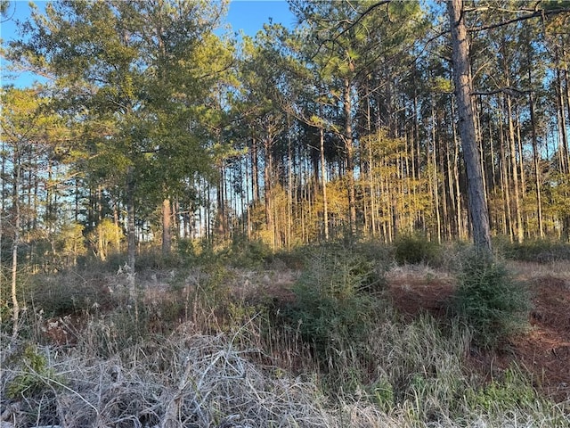 Listing photo 3 for 0 Wilmer Georgetown Rd, Mobile AL 36587