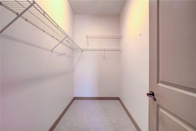 1430 Regency Rd Unit F204, Gulf Shores, AL 36542 - spacious closet with light colored carpet