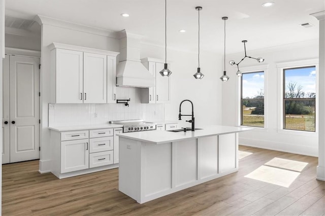 kitchen featuring decorative backsplash, white cabinetry, custom range hood, and sink