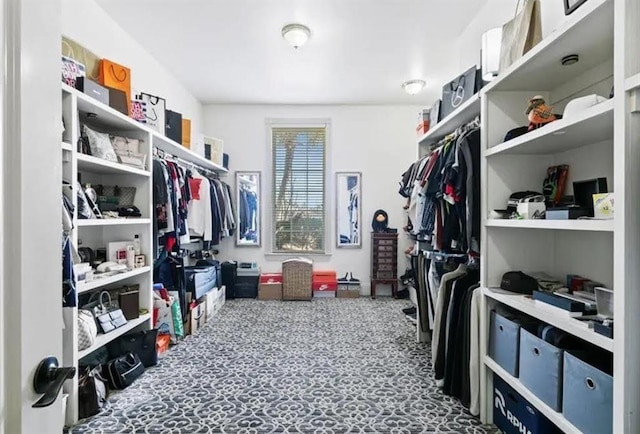 view of walk in closet
