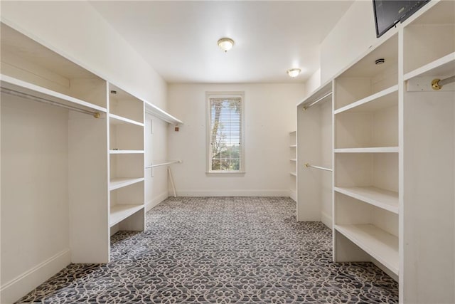view of walk in closet