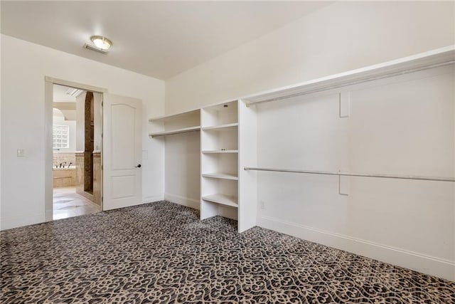 view of walk in closet