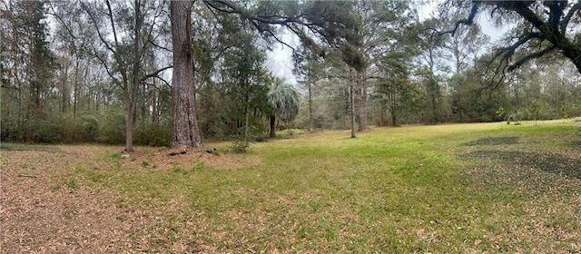 view of yard with a view of trees