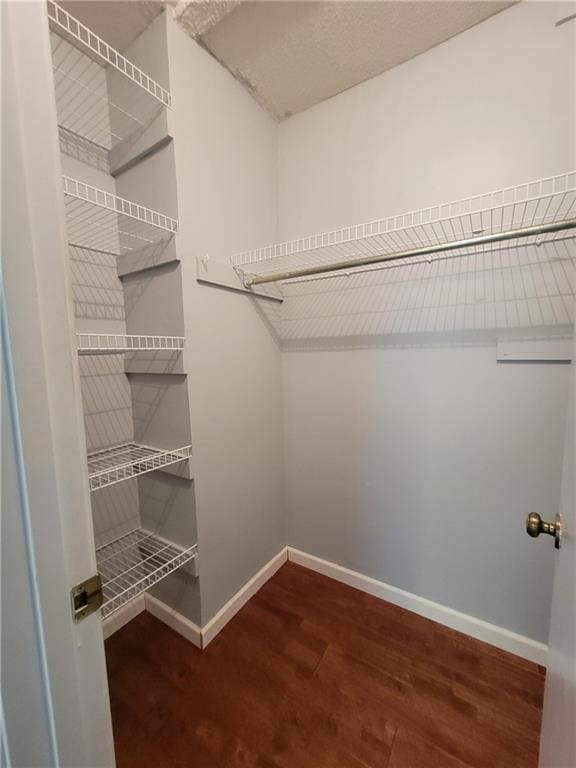 2544 Buckboard Ct, Mobile, AL 36695 - walk in closet with wood finished floors