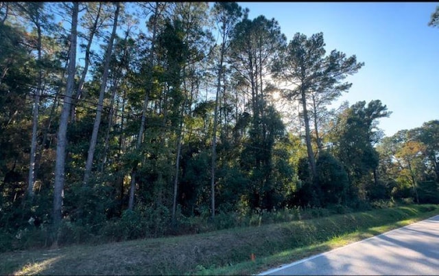 Listing photo 3 for 0 Higgins Rd, Mobile AL 36619