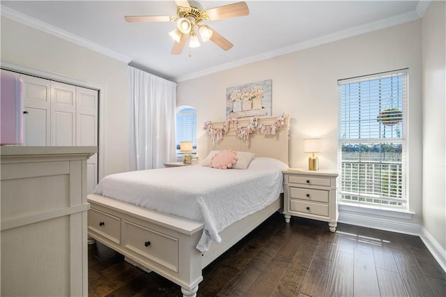 bedroom with a closet, dark hardwood / wood-style floors, ceiling fan, and crown molding