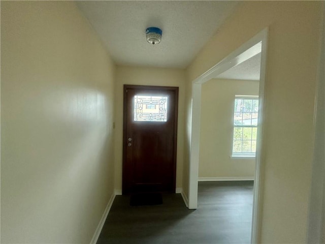 entryway with hardwood / wood-style flooring