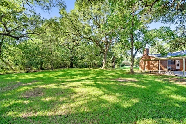 view of yard