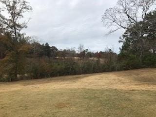 0 Dogwood Dr, Citronelle AL, 36522 land for sale