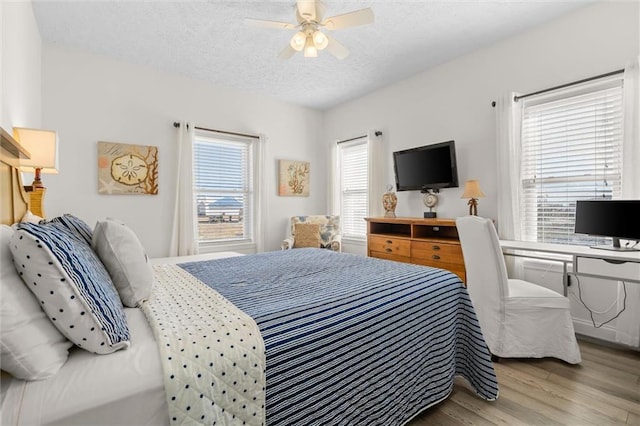 bedroom featuring a ceiling fan, light wood-style floors, and a textured ceiling
