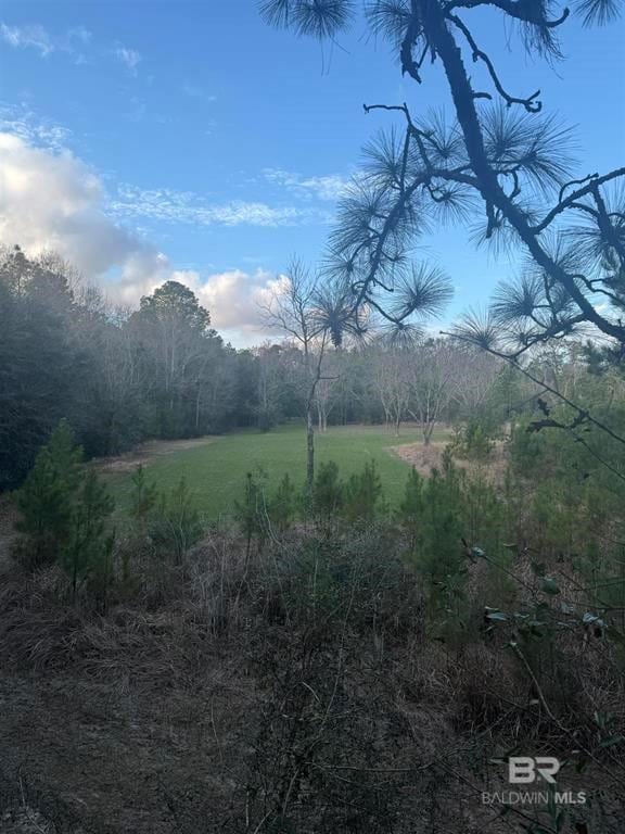 0 Johnson Rd W, Mobile AL, 36695 land for sale