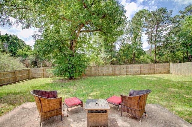 view of yard with a fenced backyard and a patio area