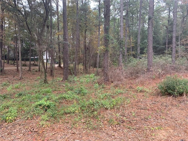 Listing photo 2 for 0 Saluda Blvd, Spanish Fort AL 36527