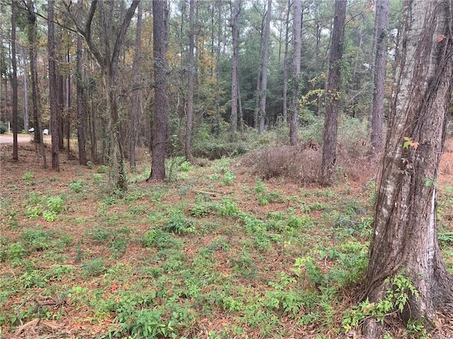 Listing photo 3 for 0 Saluda Blvd, Spanish Fort AL 36527