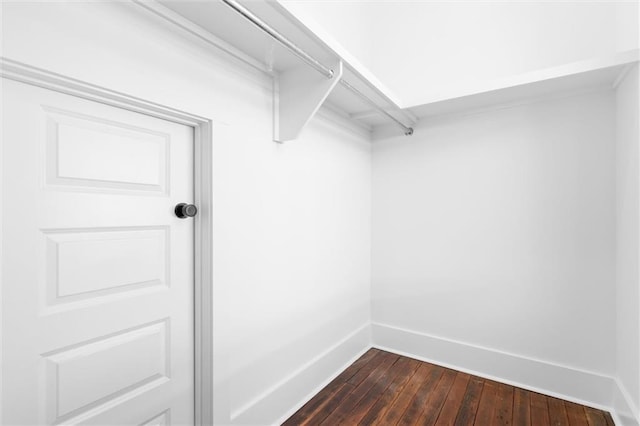 walk in closet featuring dark hardwood / wood-style flooring