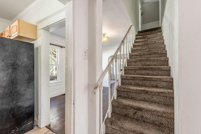 stairway with baseboards, wood finished floors, and crown molding