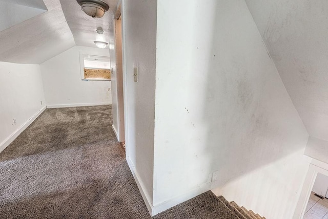additional living space with baseboards, lofted ceiling, a textured ceiling, and carpet