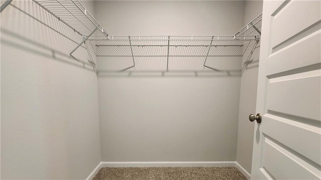 walk in closet with carpet floors