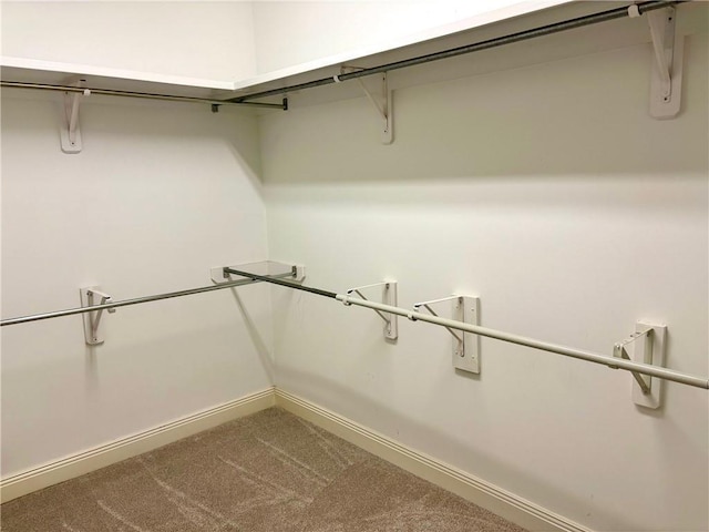 734 Natchez Trail Ct, Mobile, AL 36609 - spacious closet with carpet